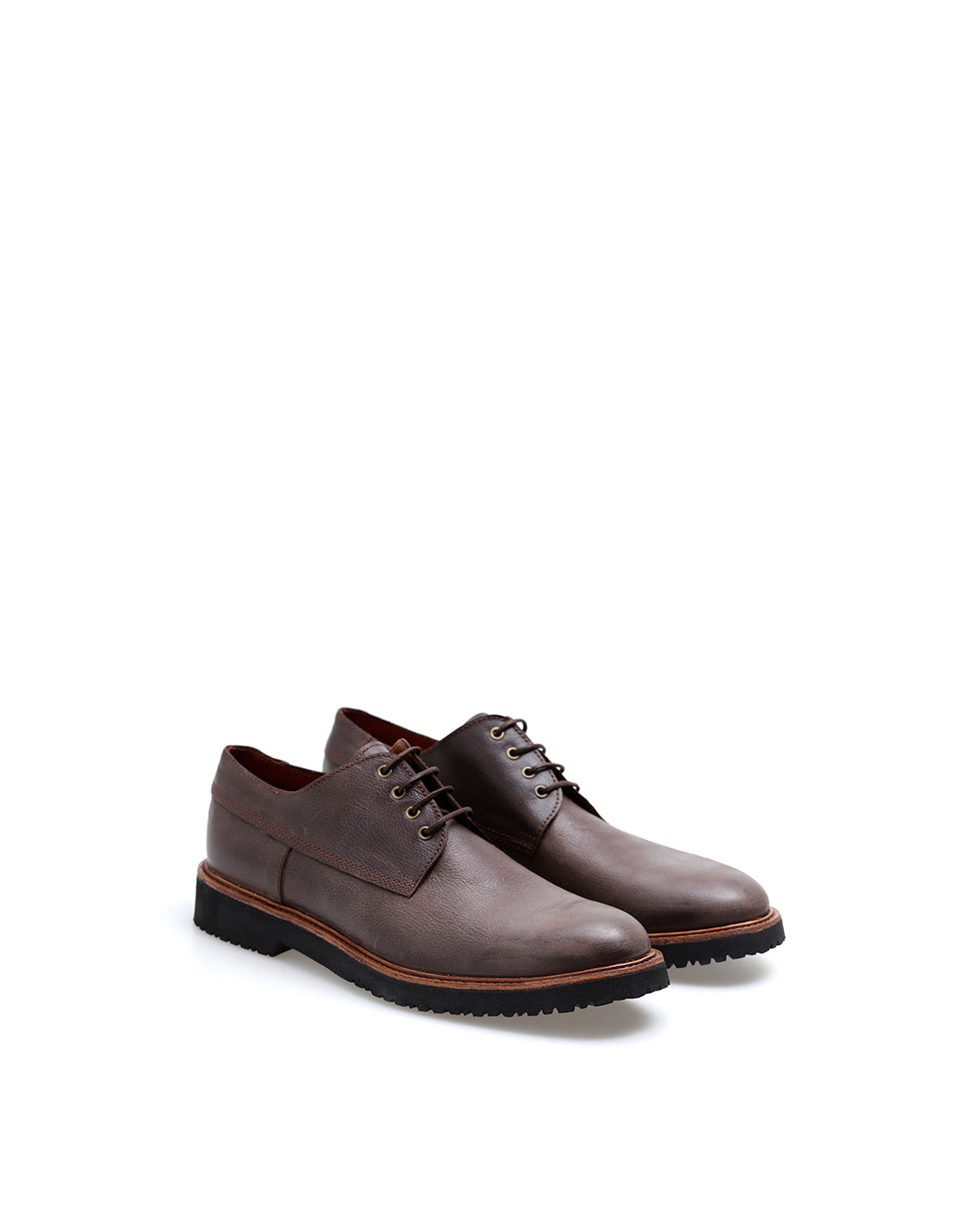 Zapato Bow