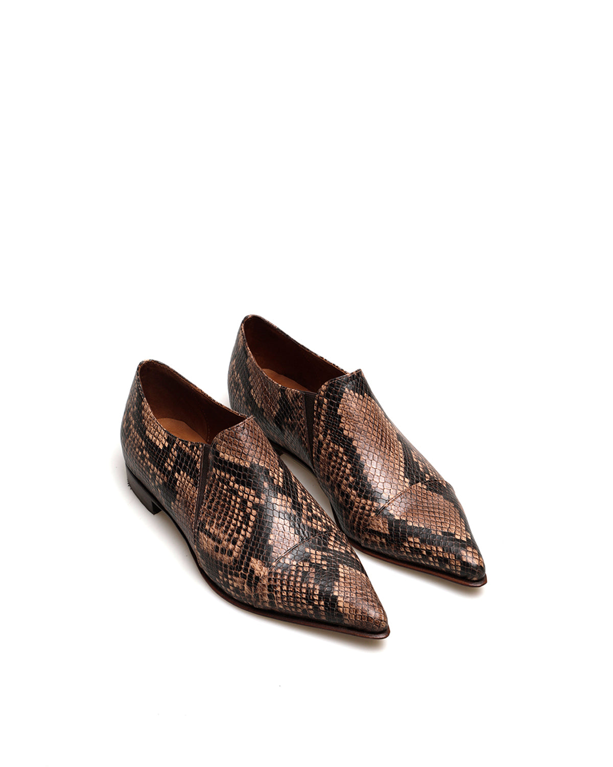 Zapato Jack