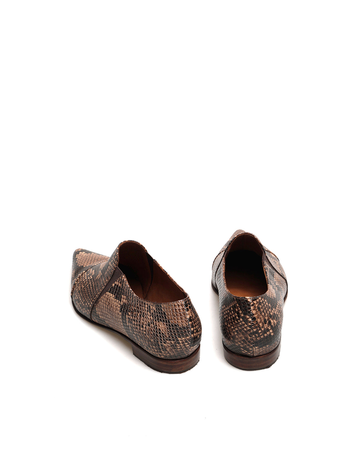 Zapato Jack