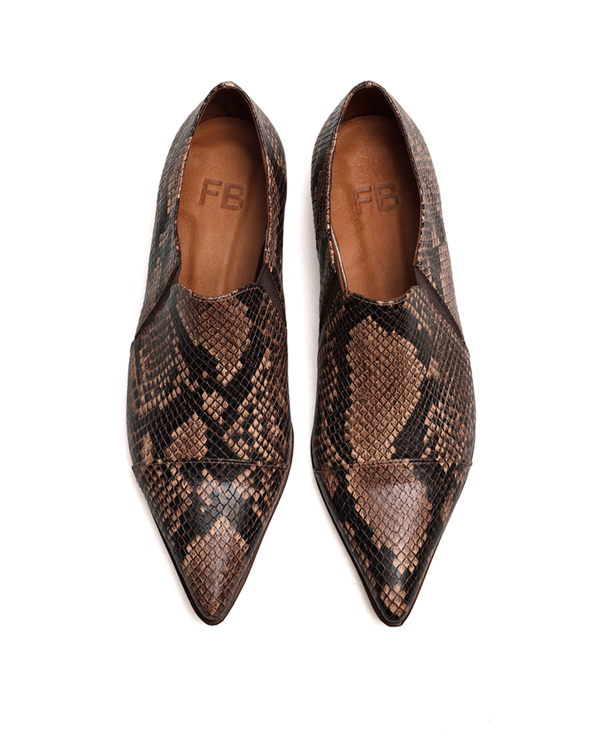 Zapato Jack