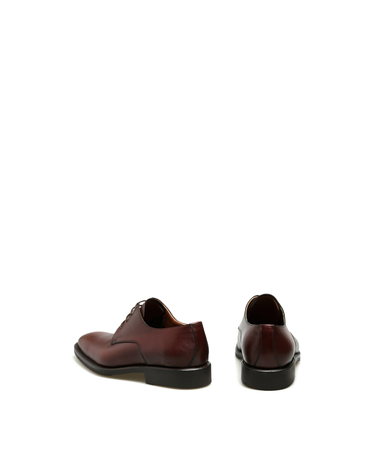 Zapato Edu
